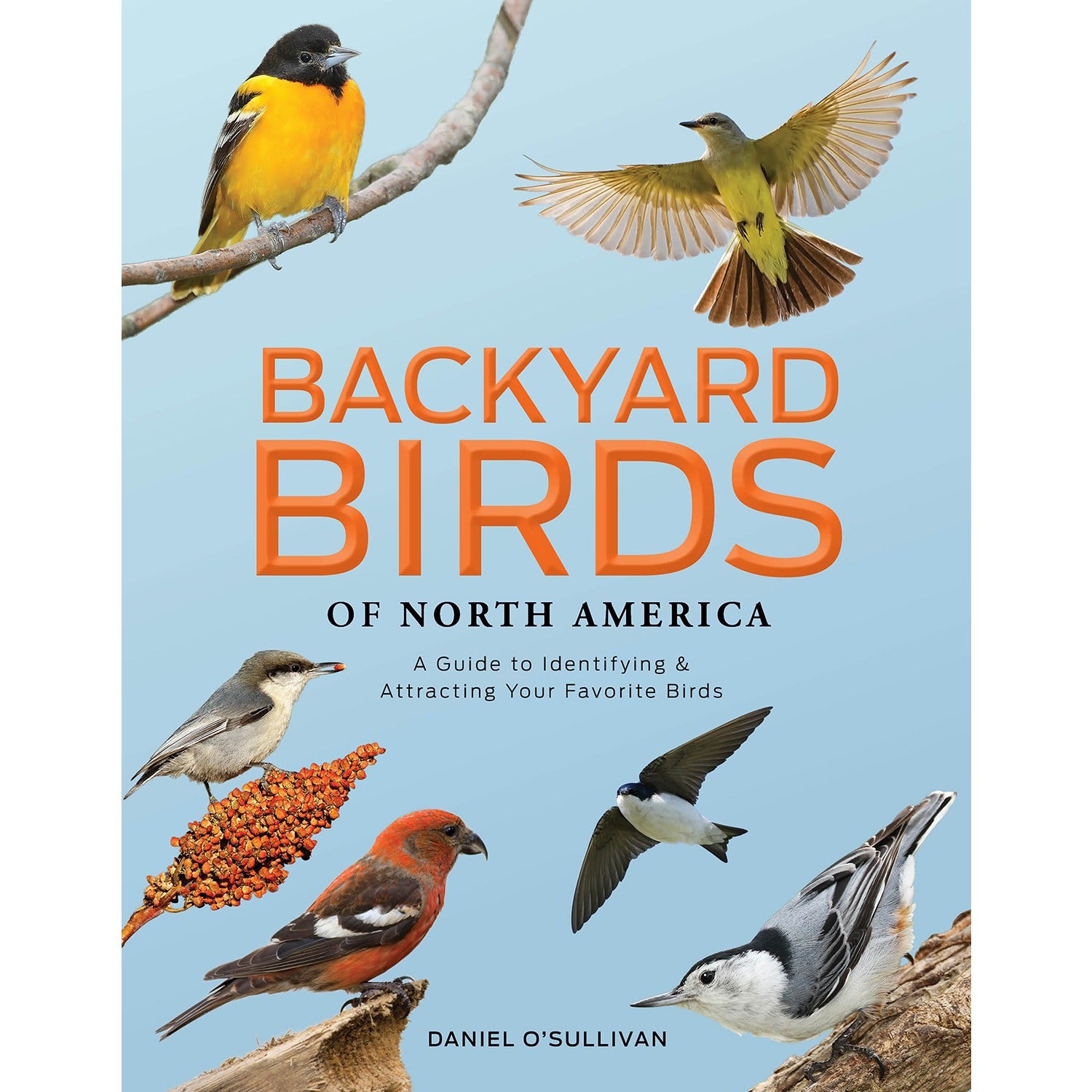 Backyard Birds of North America: A Guide to Identi